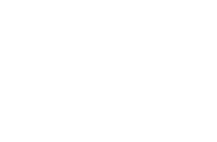 large logo